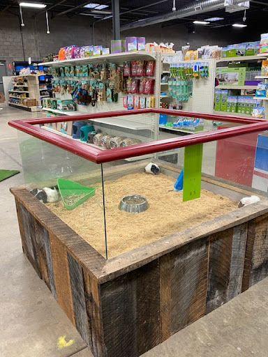Eastern Pet Supply LLC - Doggie Daycare *Grooming *Pet Supplies - Thumbnail