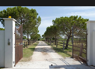 Photo n°64 de Lou Caloun à Saintes-Maries-de-la-Mer (Lodge)