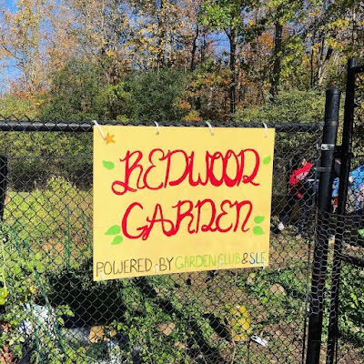 Redwood Garden