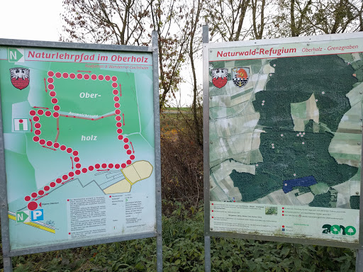Naturlehrpfad im Oberholz (Gochsheim)