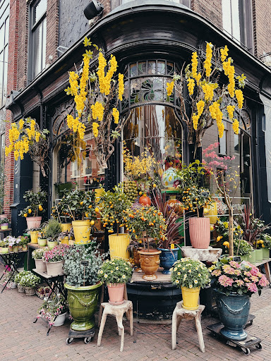 De Bloementuin - Visual