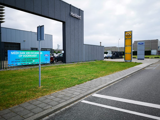 HEKKERT MAASTRICHT B.V. Ford - Thumbnail