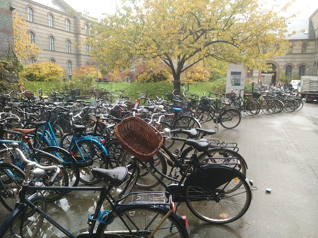 Université de Copenhague