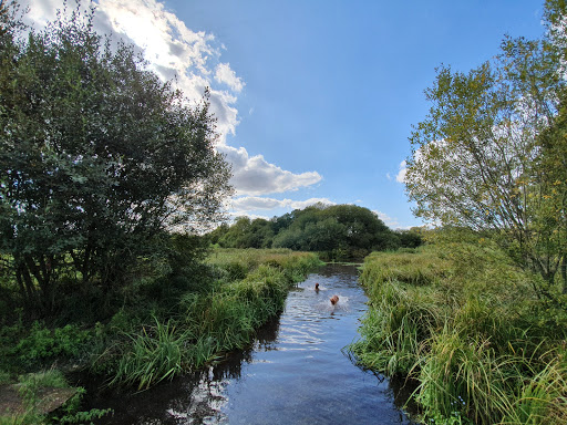 National Trust Car Park - The Lion's Den