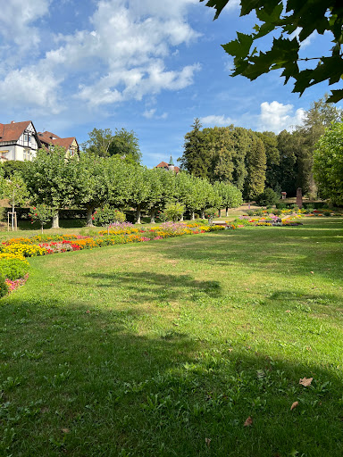 Springbrunnen im Stadtgarten