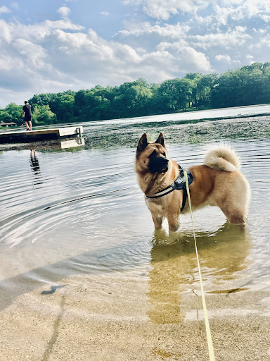 Herrick Lake - Visual