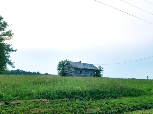 Big Woods Wildlife Management Area - Thumbnail
