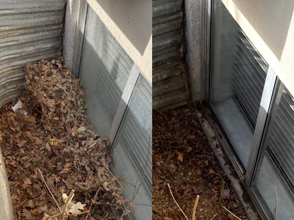 Bee Spotless Window Cleaning