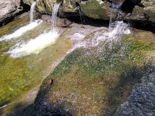 Lodi Community Park - Thumbnail