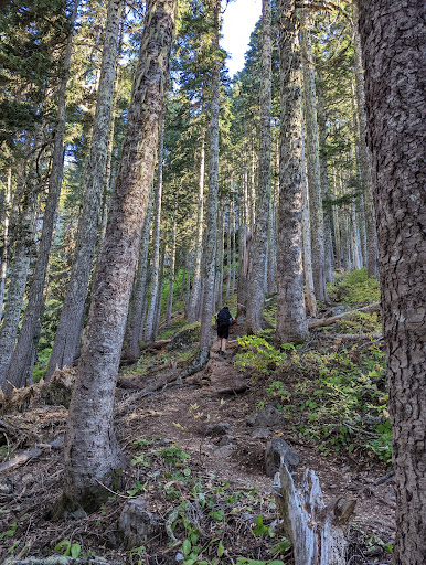 Rampart Ridge Backdoor - Thumbnail