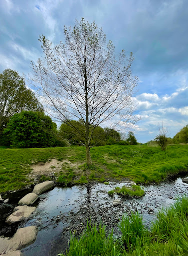 Landschaftspark Wuhletal - Thumbnail