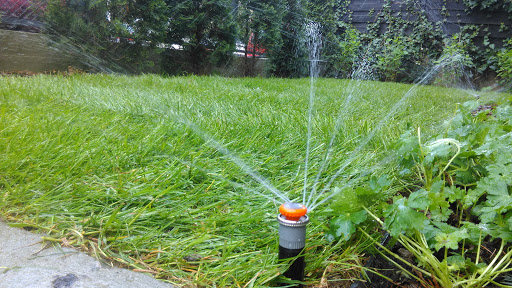 Nawadnianie Ogrodów Automatyczne Systemy Nawadniające