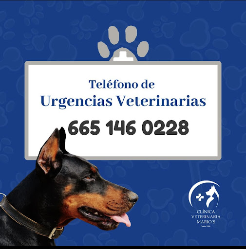 Clínica Veterinaria Marios