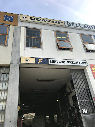 Bellaria Gomme - Visual