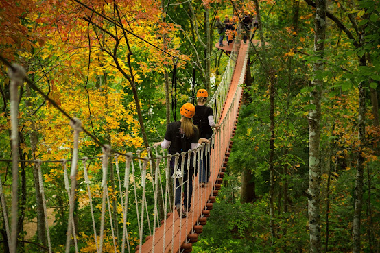 CLIMB Works Smoky Mountains - Zipline Tour by null