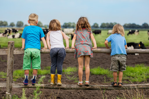 Farm camping 't Looveld Gallery - Netherlands