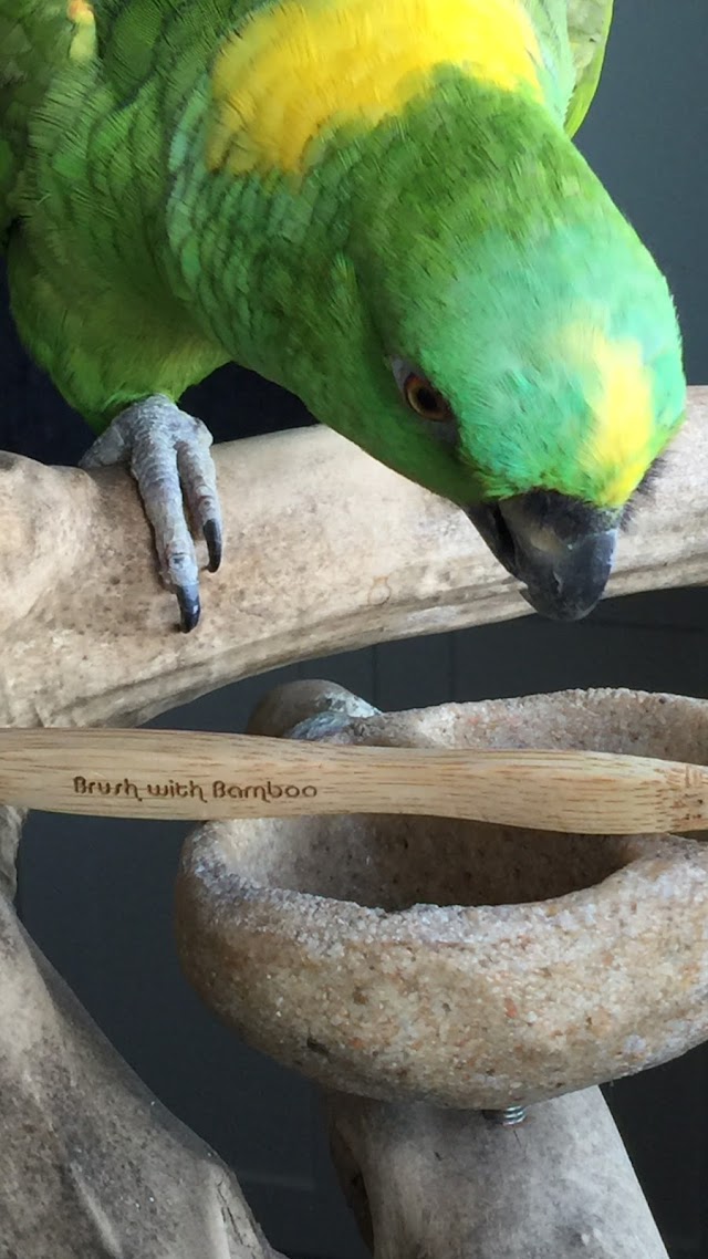 Terre A Soi, magasin général écologique