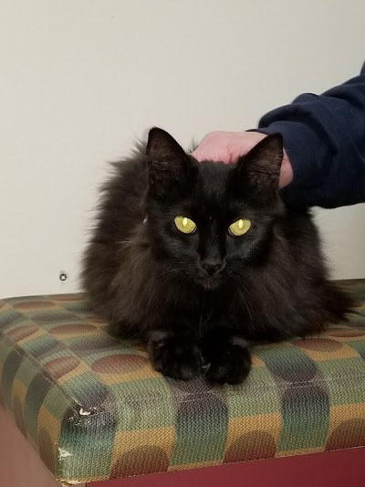 Photos of Gardner Animal Care Center