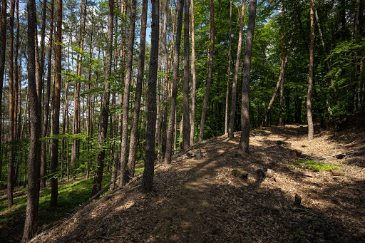 Altenburg - Thumbnail