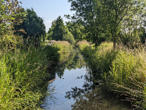 Park Dornheim - Thumbnail