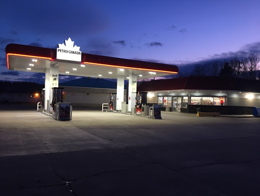 Dynamic Petro Canada - Visual