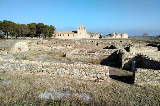 Scavi Archeologici Di Venosa