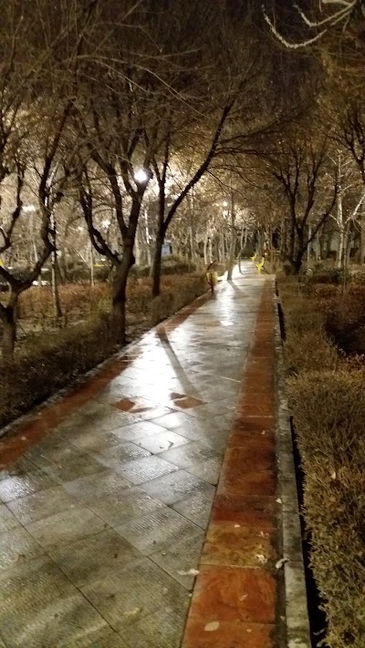 Photos of Mina Park