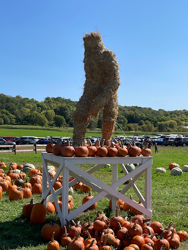 Sever's Corn Maze & Farm Market Gallery - United States