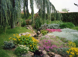Photo n°4 de Coirier Francis à Celles-sur-Belle (Paysagiste)