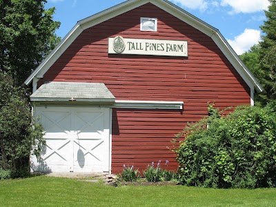 home-goods-store