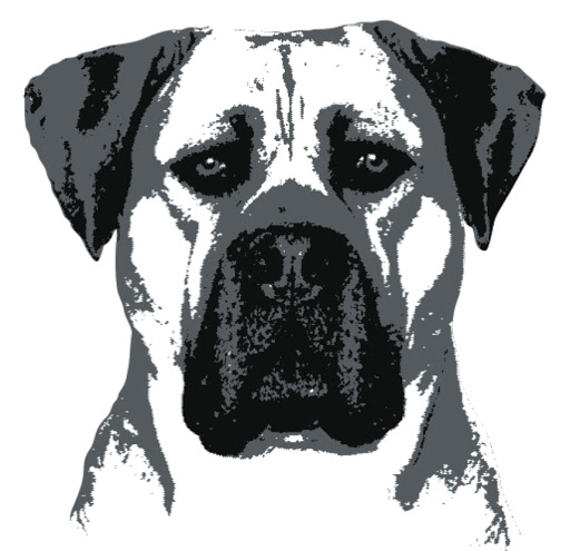 Dog Food Limburg 100% natuurlijke voeding - Thumbnail