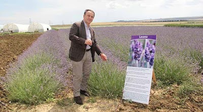 TÜRAM-Silivri Belediyesi Tarımsal Üretim Ve Araştırma Merkezi