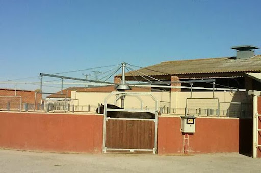 Clinica Equina Olmedo