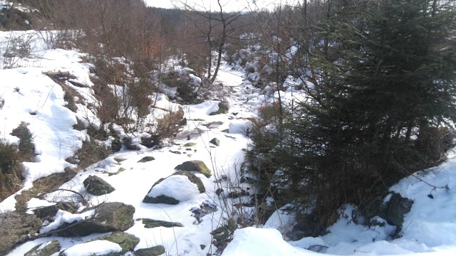 Cascade du Bayehon