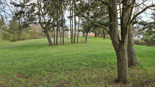 Park am Schillerberg - Thumbnail