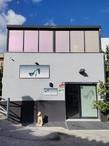 Clínica Veterinaria Ana Morales Loriguillo