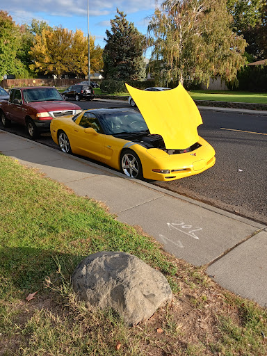 L.A. Auto Rack - Visual