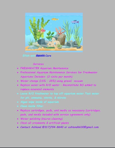 E Fish ent aquarium maintenance