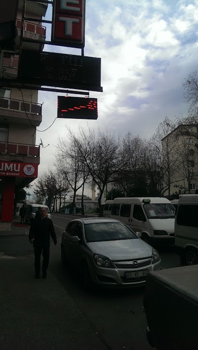 Photos of Berber Ş&uuml;kr&uuml;