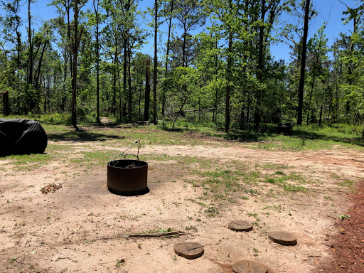 Ya Ya’s Lake Seminole RV Park - Thumbnail