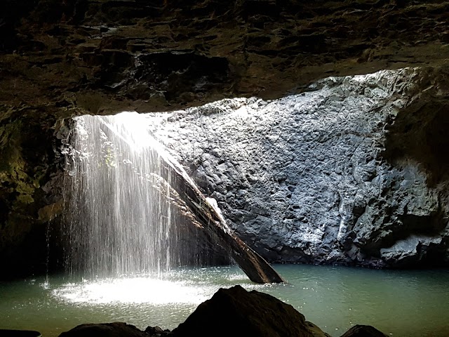 Natural Bridge, Springbrook National Park, Glow Worms Cave