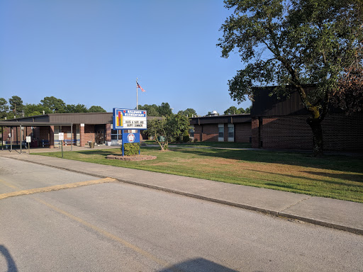 Baldwin Elementary - Visual