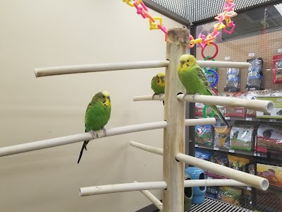 Petco