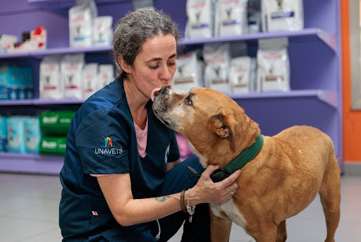 Hospital Veterinario A Media Lúa