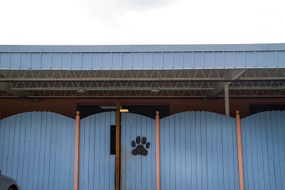 Photos of Alachua County Humane Society