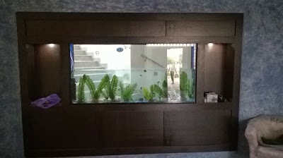 Photos of Atlantis Aquarium Shop