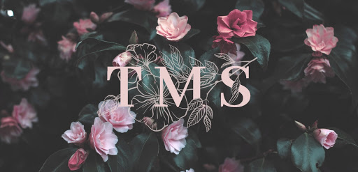 TMS Events - Visual