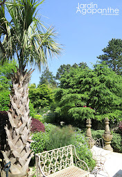 Photo n°2 de Le Jardin Agapanthe à Grigneuseville (Attraction touristique)