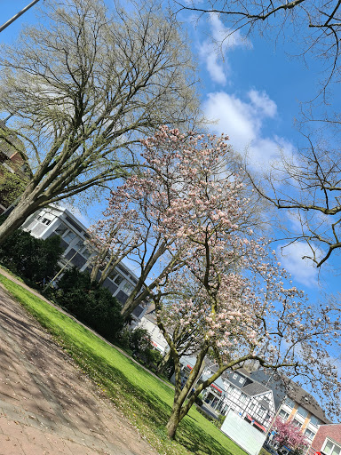 Leichlingen Busbf - Thumbnail