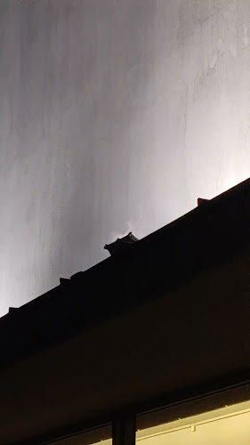 Casa das Artes Horário de abertura